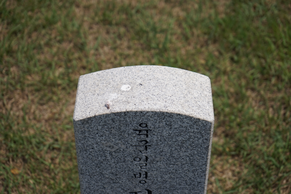 IMG_9098.png