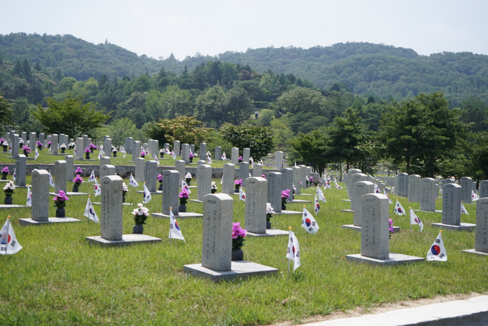 IMG_9138.png